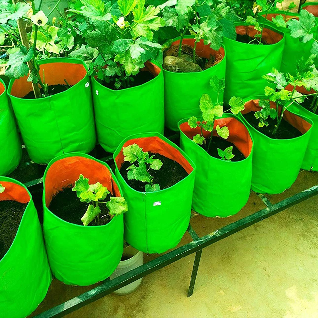 Buy Grow Bags12X12 Online in India to grow vegetable and flower plats and  for all kind of small root plants