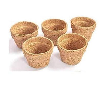 Picture of Coir Seedling Cup- 4 inch ( Set of 5 Pieces)