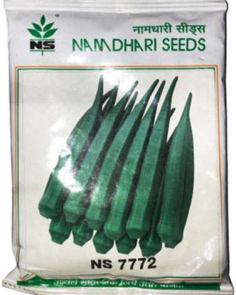 Picture of Namdhari Bhendi/Okra Seeds