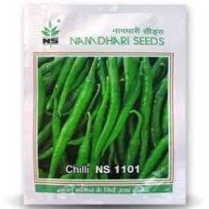 Picture of Namdhari Green Chilli Seeds