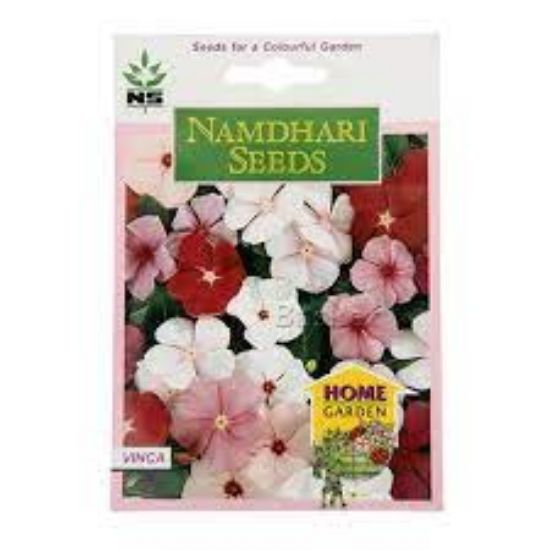 Picture of Namdhari Vinca seeds