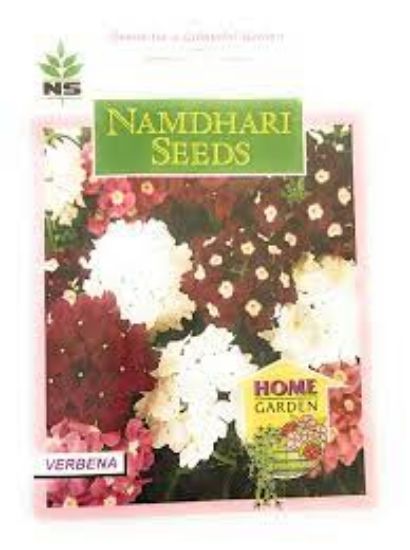 Picture of Namdhari Verbena Seeds