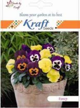 Picture of Kraft Pancy Seeds