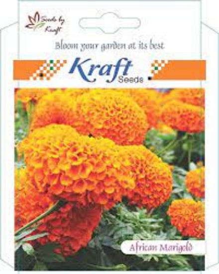 Picture of Kraft African Marigold 
