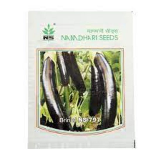 Picture of Namdhari Long Brinjal Seeds