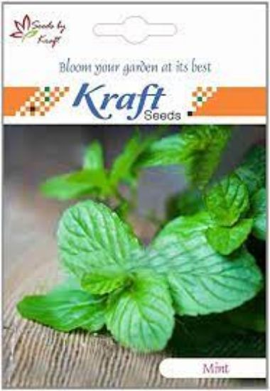 Picture of Kraft Mint Seeds