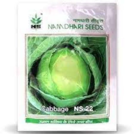 Picture of Namdhari Cabbage Seeds