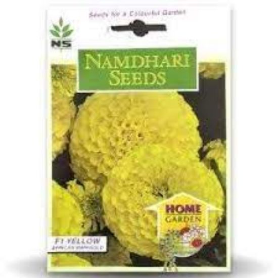 Picture of Namdhari Mysore Yellow