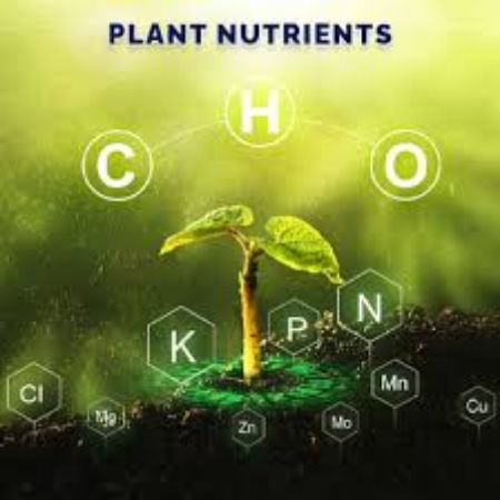 Picture for category Plant Nutrients