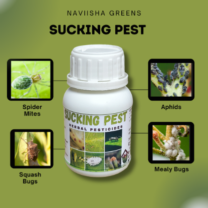 Picture of Sucking Pest - 100ml (Prevent from Aphids, Mites, Scale, Leaf hoppers, Whiteflies, Caterpillar, Mites, Mealybugs, Thrips etc..)