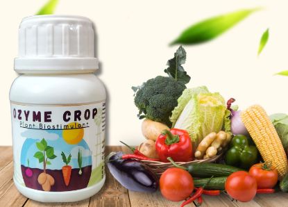 Picture of Ozyme Crop- Bio Stimulant- Best for Indoor & Outdoor Plant All One Food with Nutrients (100ml)