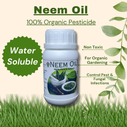 Picture of Neem Oil - 100% Organic Fungicide to cure Fungal diseases including: Black Spot, Scab Rust, Leaf Spot, Anthracnose, Tip Blight etc. (250ml)